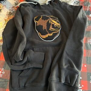 Bruins Embroidered Men's Sweater